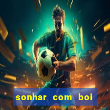 sonhar com boi branco jogo do bicho